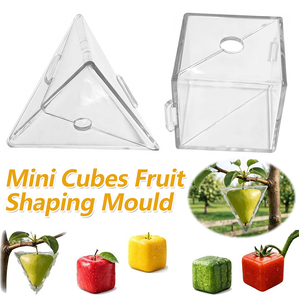 Gardening Tools Unique - Mini Cube Fruit Shaping Mould for