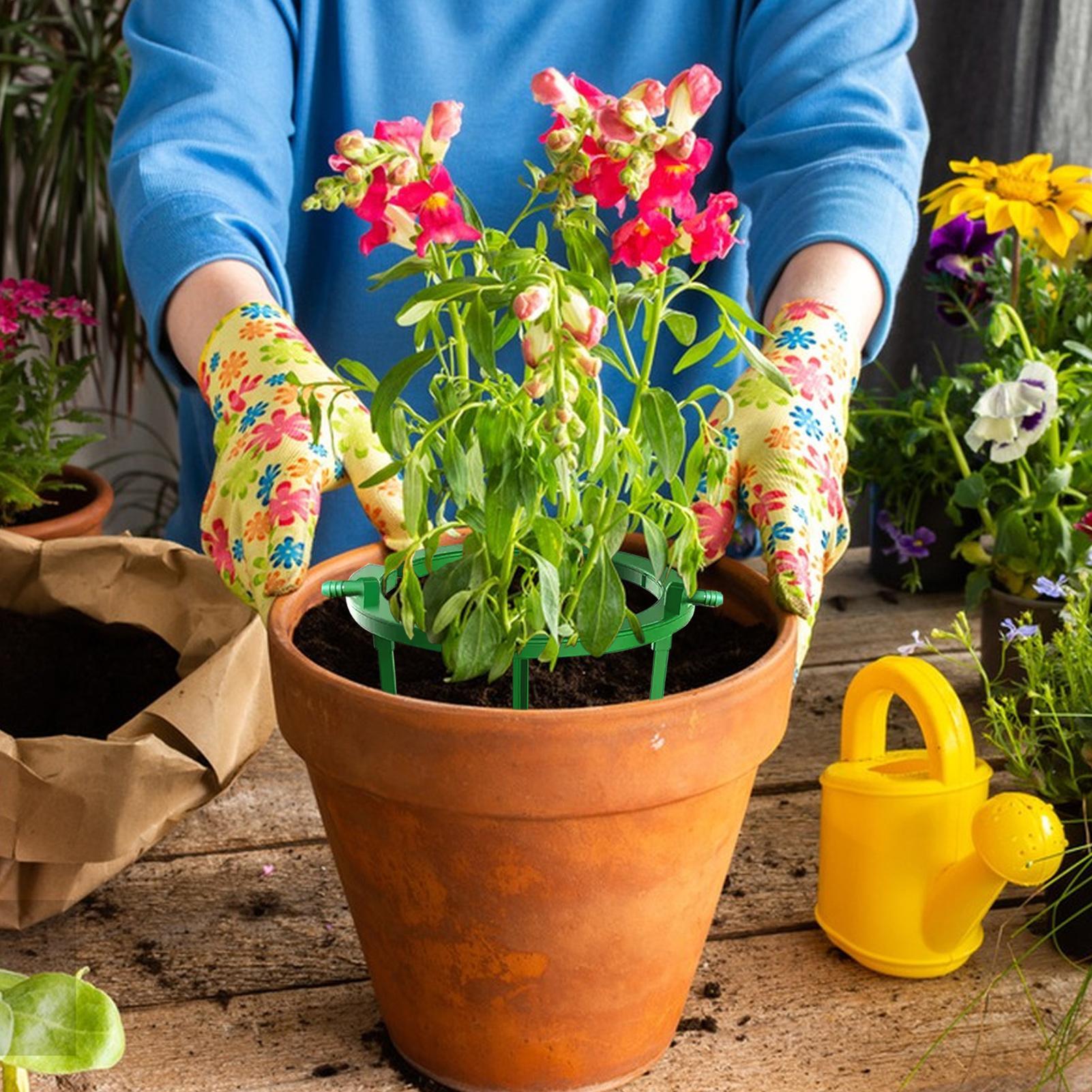 Plant Water Ring Plant Hydro R - Gardening Tools Target ulasan dan harga