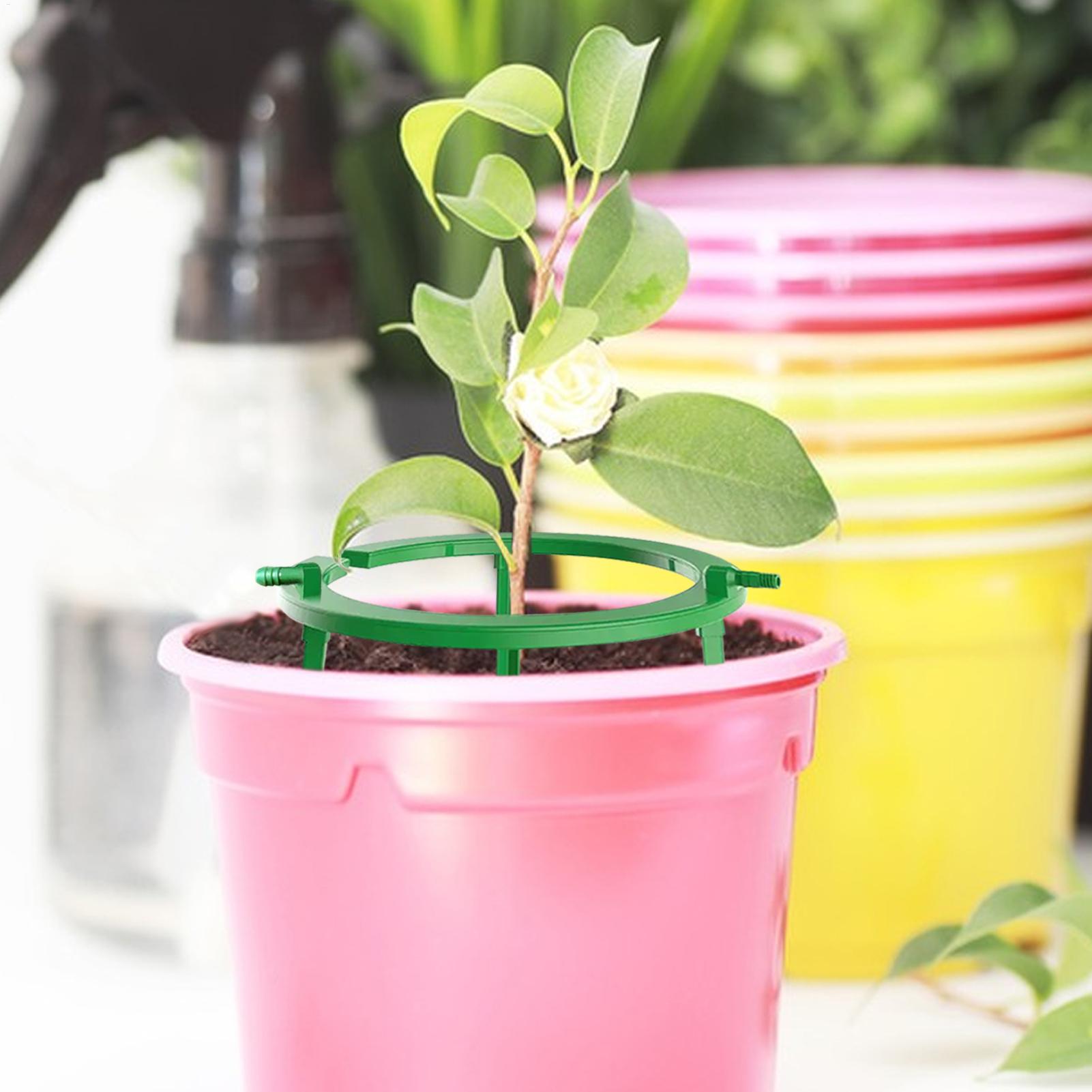Plant Water Ring Plant Hydro R - Gardening Tools Target ulasan dan harga