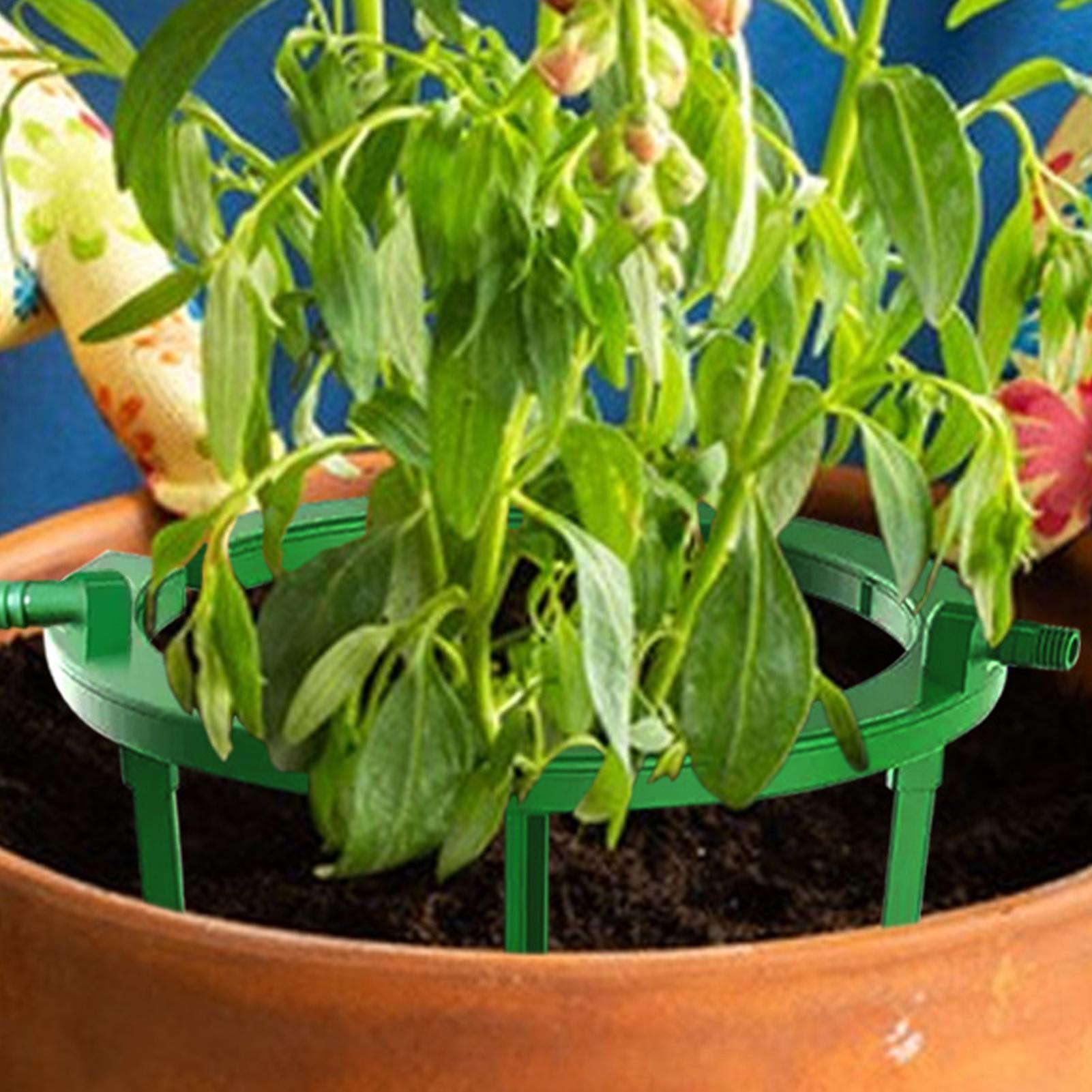 Plant Water Ring Plant Hydro R - Gardening Tools Target ulasan dan harga