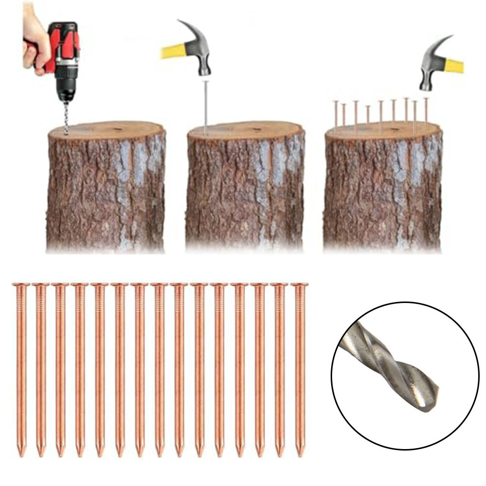 2-Inch Solid Copper Nails For  - Gardening Tools Target ulasan dan harga