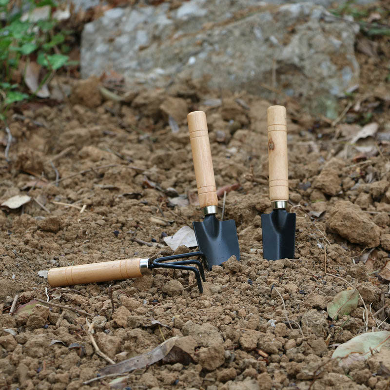 3Pcs/Set Mini Garden Tool Set  - Gardening Tools For Digging ulasan dan harga