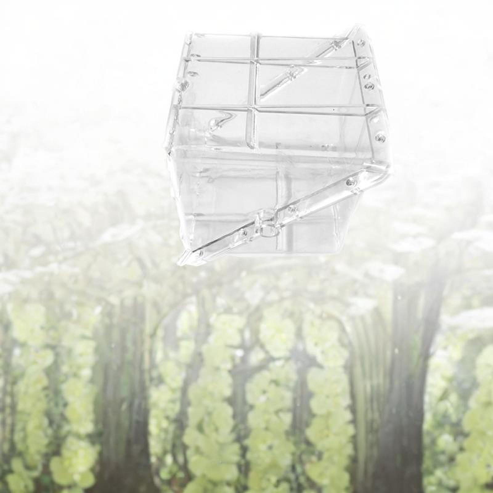 Square Watermelon Growth Mold  - Gardening Tools Unique ulasan dan harga