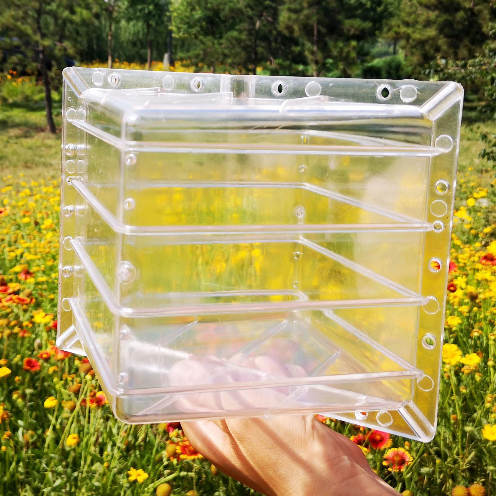 Square Watermelon Growth Mold  - Gardening Tools Unique ulasan dan harga