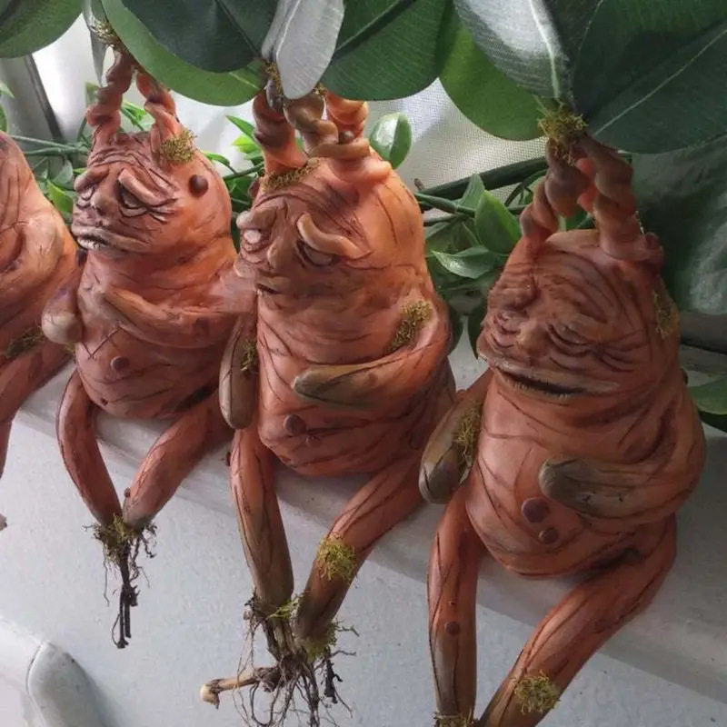 Mandrake Mandrake Resin Orname - Gardening Tools Amazon ulasan dan harga
