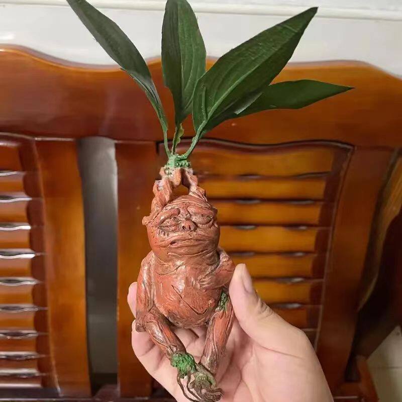 Mandrake Mandrake Resin Orname - Gardening Tools Amazon ulasan dan harga